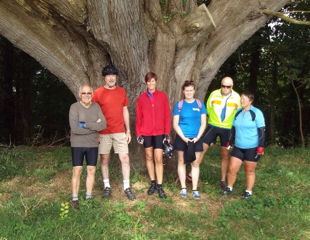 Ride 21 by the Penrice Church yew.